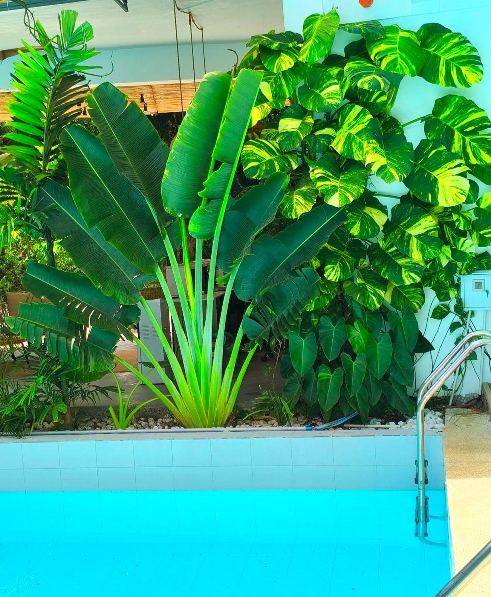 Diving Addiction Resort Panglao Dış mekan fotoğraf